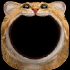 Nom Kitty Avatar Decoration