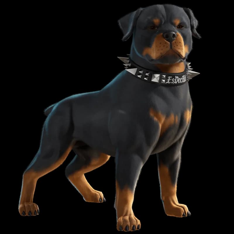 EsDeeKid's Canine
