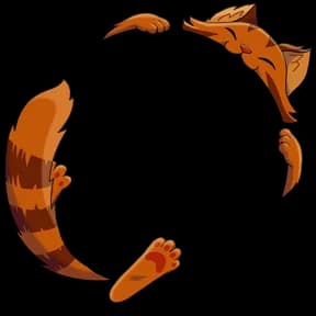 Playful Lofi Cat Avatar Decoration