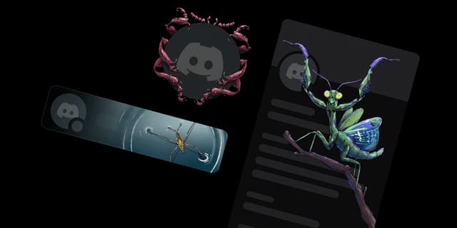 Longlegs Bundle (3 items)