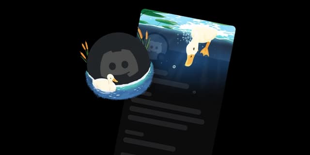 the duck Bundle (2 items)