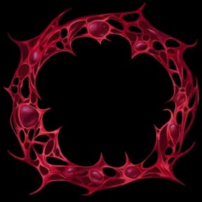 Bloodweb Avatar Decoration