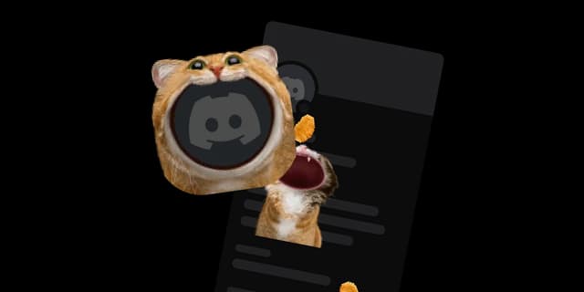 Nom Kitty Bundle (2 items)