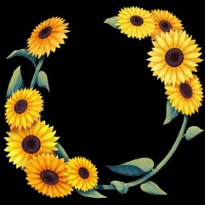 Sunflowers Avatar Decoration
