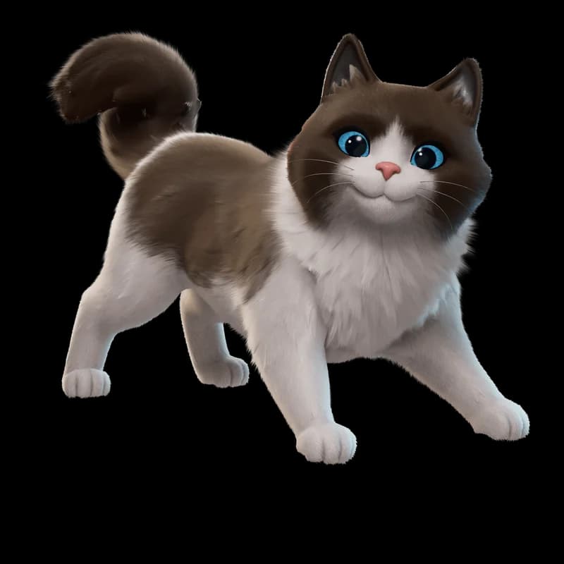 Fancy Ragdoll
