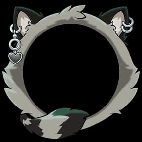 Alt Raccoon Avatar Decoration