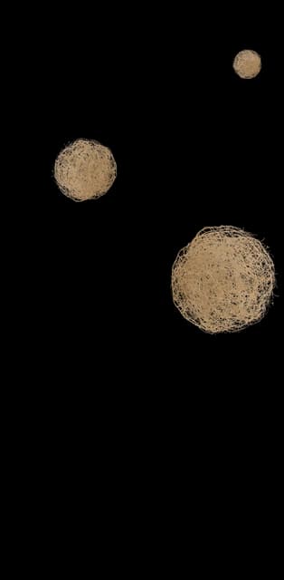 Tumbleweeds Avatar Decoration