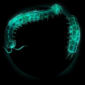 Motyxia Avatar Decoration