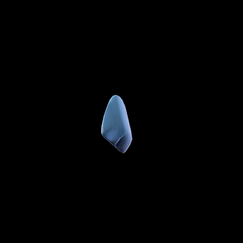 Shark Fin