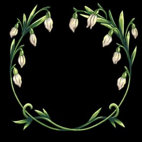 Snowdrops Avatar Decoration