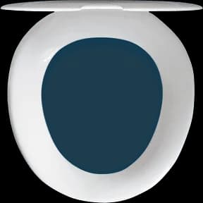 Toilet Lid Avatar Decoration