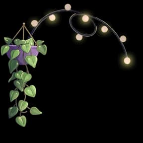 Cozy Plant Vibes Bundle (2 items)
