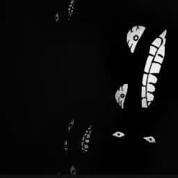 Always Watching Profile Effect