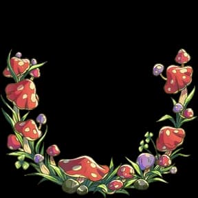 Mushcaps Avatar Decoration