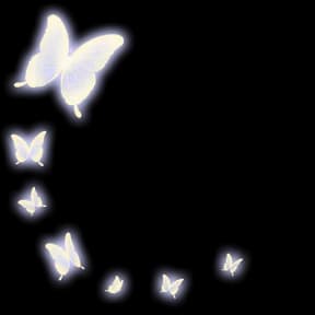Butterfly Waltz Avatar Decoration