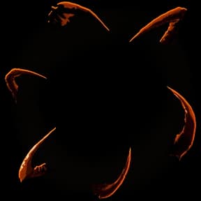 The Entity Avatar Decoration