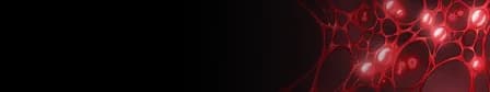 Bloodweb Nameplate