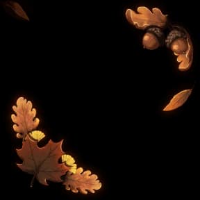 Fall Leaves Avatar Decoration