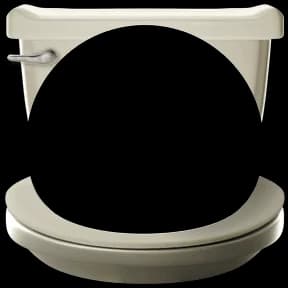 Skibidi Toilet Avatar Decoration
