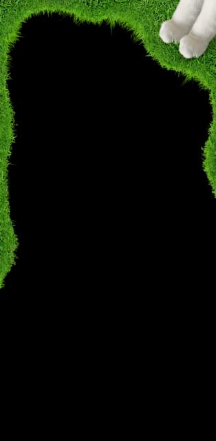 Nature is Healing Avatar Decoration