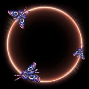 Luna Moths Avatar Decoration