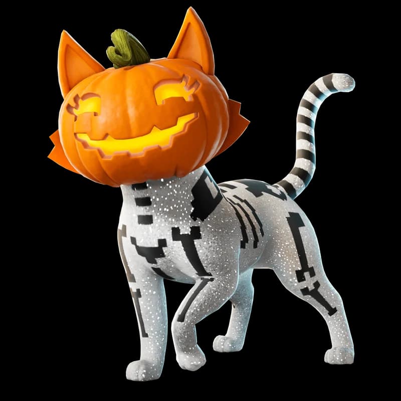 Jack-O'-Cat
