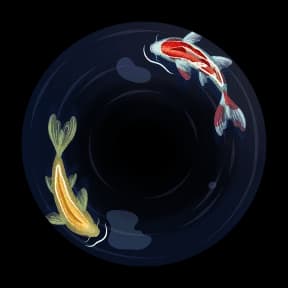 Koi Pond Avatar Decoration