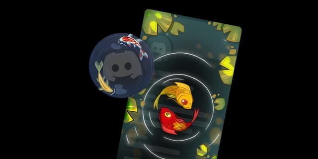 Koi Fish Bundle (2 items)