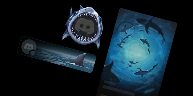 Shark Bundle (3 items)