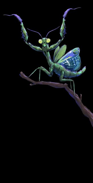 Praying Mantis Profile Effect