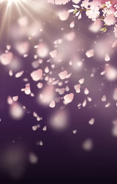 Sakura Dreams Avatar Decoration