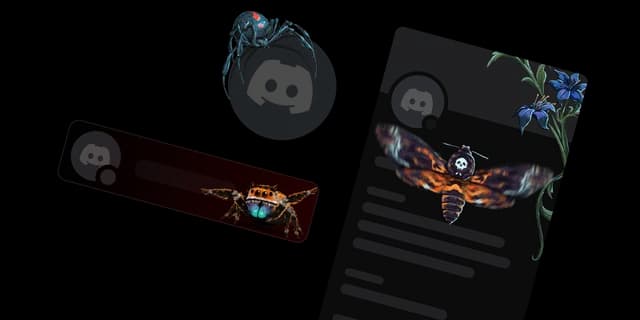 Fangs and Death Bundle (3 items)